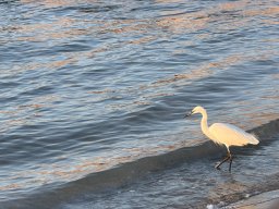 089-18-12-2025 IMG_3238